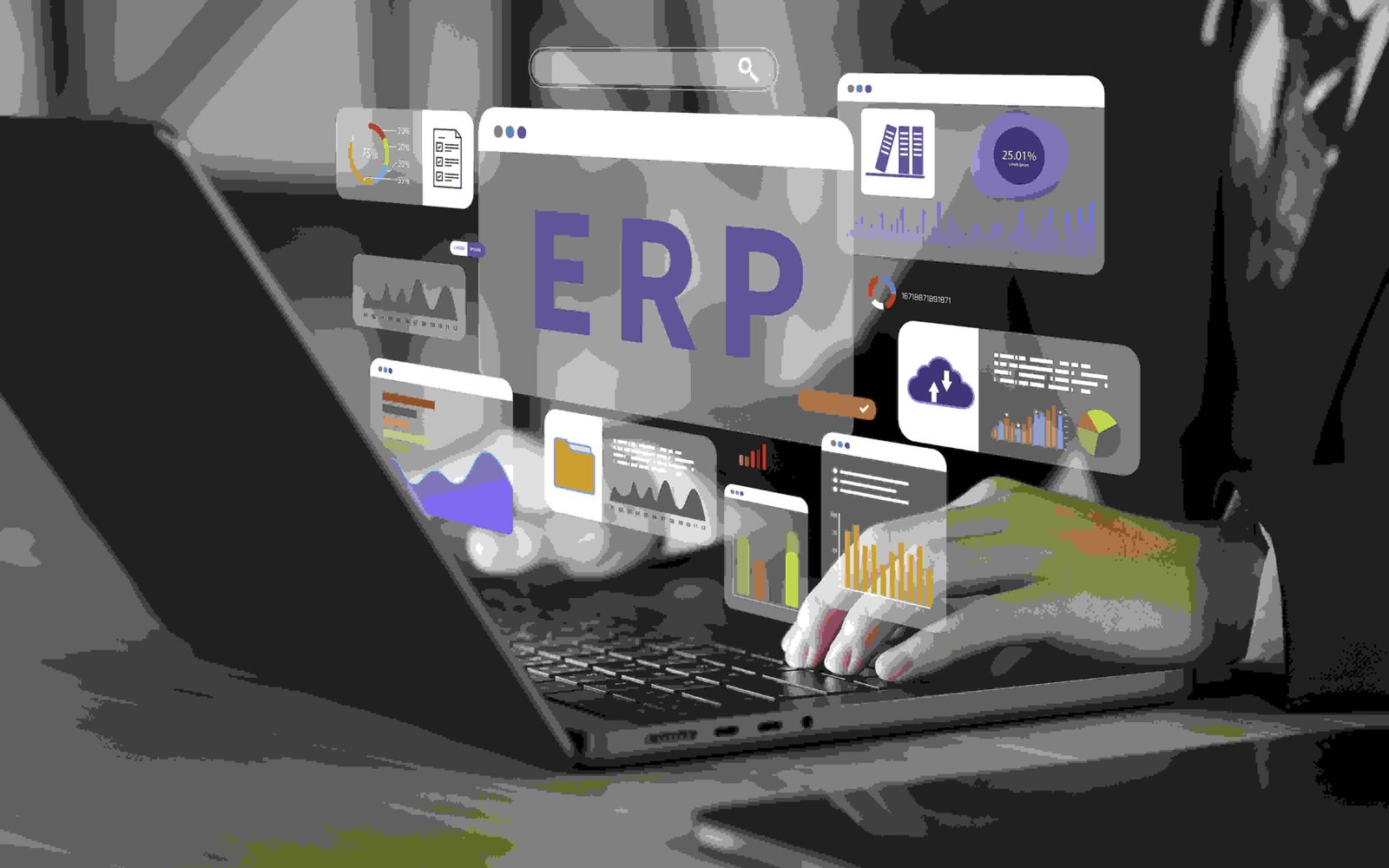 ERP Software Services Abu Dhabi
