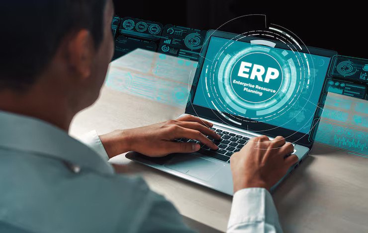 ERP Software Support and Maintenance