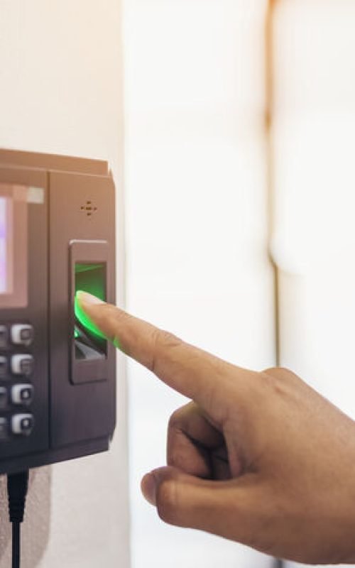 biometric access control system services
